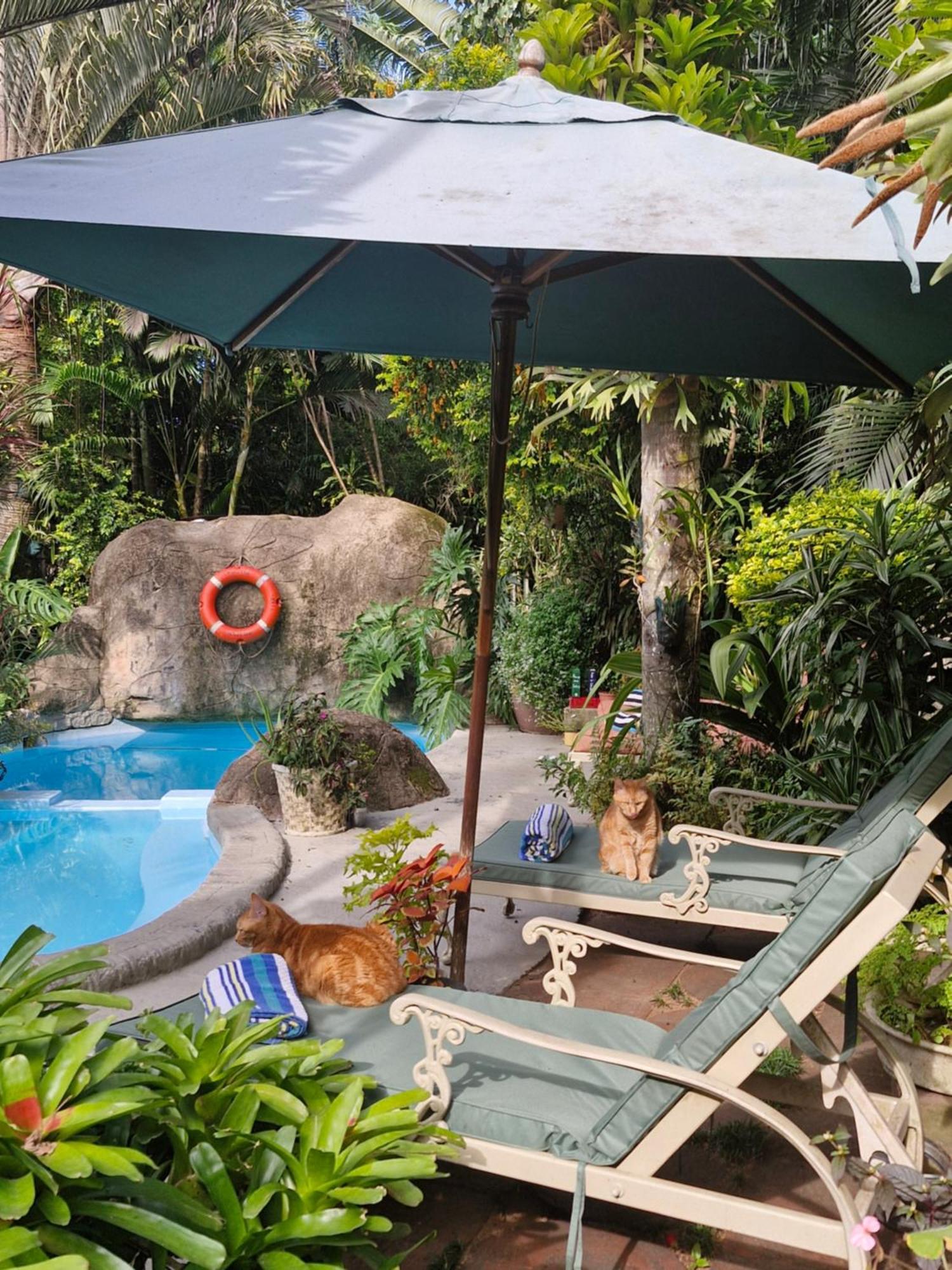 African Ambience Guest House Saint Lucia Estuary Exteriér fotografie