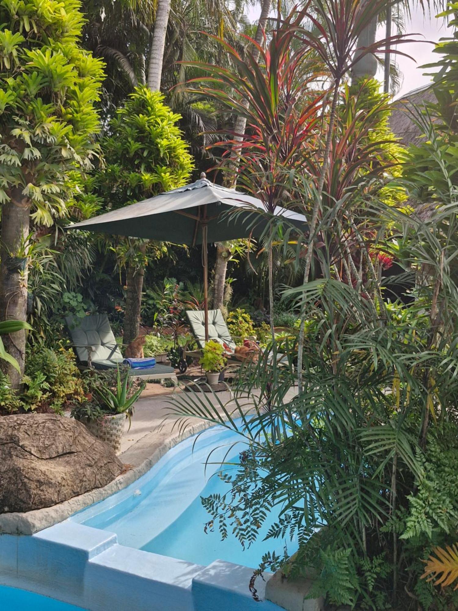 African Ambience Guest House Saint Lucia Estuary Exteriér fotografie